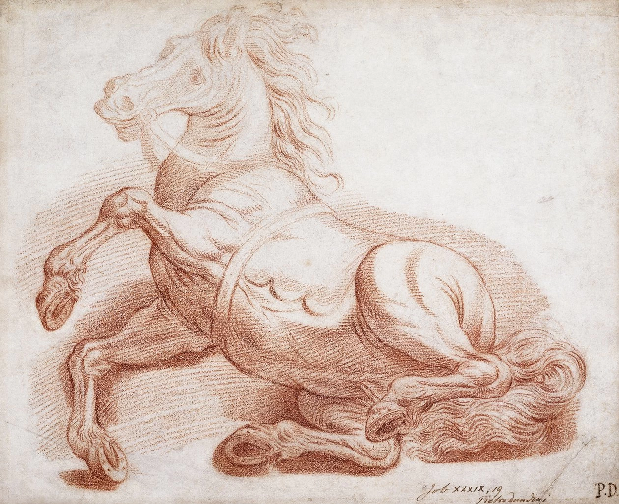 Pier Dandini - 279, Un cavallo caduto